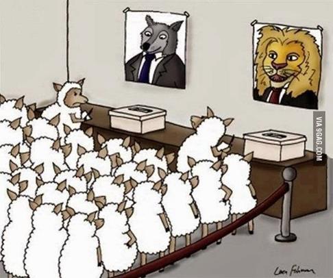 Des moutons qui défendent leur candidat contre d'autres moutons défendant un autre candidat. Seulement 2 choix de candidat : un loup ou un lion, qui ont tout 2 l'air bienveillants sur les affiches électorales...