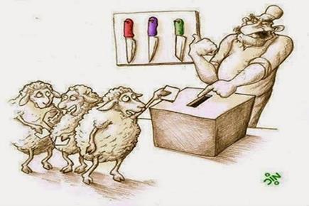 Des moutons qui votent pour choisir la couleur du couteau qui va les tuer